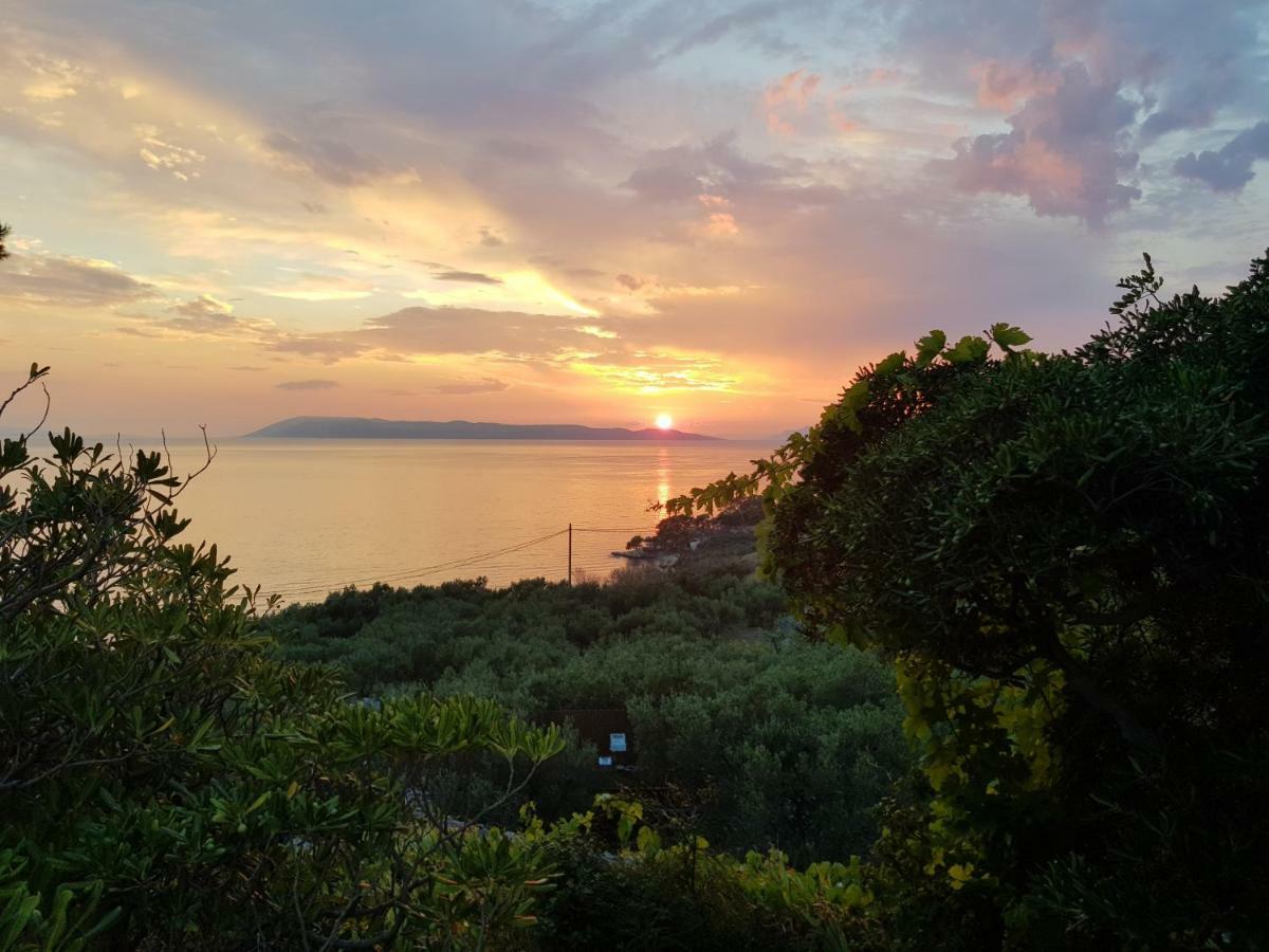Apartmani Baresic Podgora Exterior foto